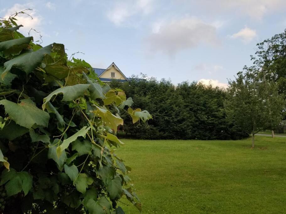 Basecampwv-Durbin. Spacious 4 Bedroom House W/Yard Zewnętrze zdjęcie